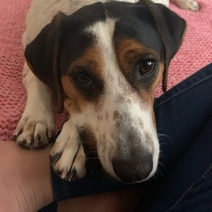 Meet your Posher, Sofia